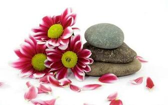 Feng Shui