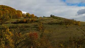 Autumn On The Hill Wallpaper