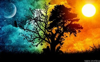 Wallpaper Night And Day Tree Silhouette