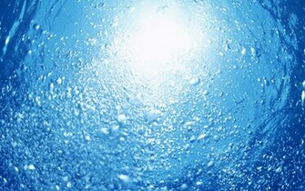 Sea Bubbles