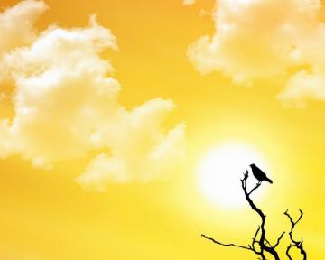I Think This Looks So Hopeful Nature Wallpaper HD