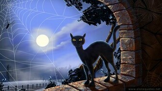 Cat Halloween Wallpaper Collection Pumpkin