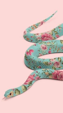 Wallpaper Snake Pretty Snakes Art