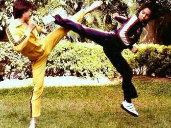 Split Kick Wallpaper Martial Art Pictures