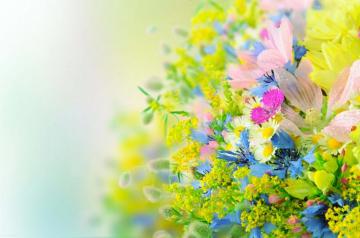 Bright Flowers Wallpaper On