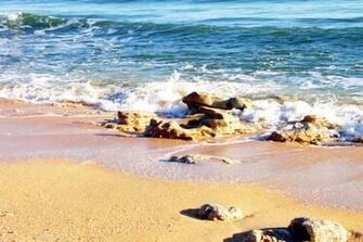 Palm Coast Fl Coquina Rocks On Hammock Beach Photo
