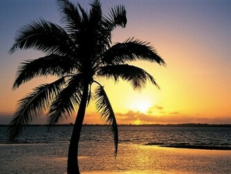 Tropical Island Sunset Wallpaper