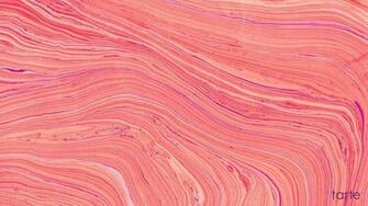 Tarte Cosmetics Bedroom Di Wallpaper Dan