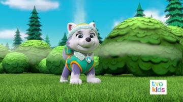 Everest The Siberian Husky Paw Patrol Photo