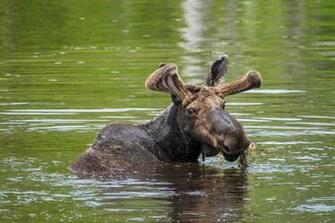Isle Royale National Park The Greatest American Road Trip