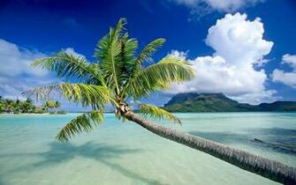 Tag Scenery Wallpaper Background Photos Imageand Pictures