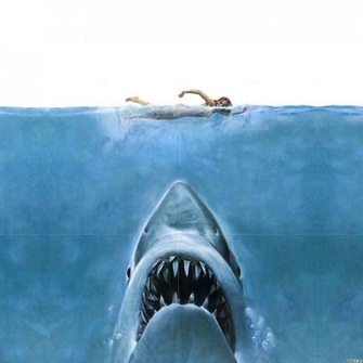 On July By Admin Comments Off Shark Week Wallpaper