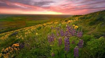 Awesome Spring Country Wallpaper HD S