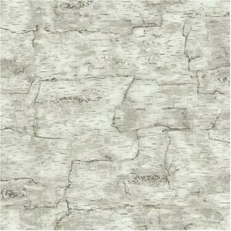 York Wallcoverings Lm7987smp Birch Bark Wallpaper Memo Sample