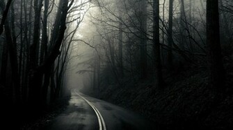 Road Through The Dark Woods Computer Wallpaper Desktop Background