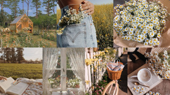 Spring Aesthetic Wallpaper