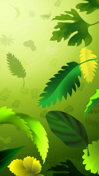 Leaves iPhone Wallpaper