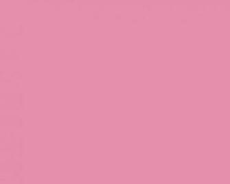 Light Pink Solid Color Background Image Pictures Becuo