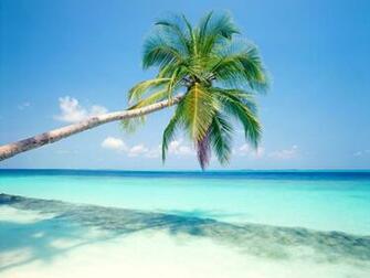 Tropical Island Wallpaper HD