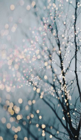 Show Off Your Holiday Spirit With This Christmas Lights