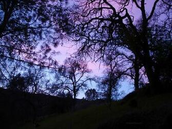 Purple Goth Wallpaper Image
