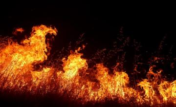 Disrupting The Wildfire Ecosystem To Solve Our Nation S Battle