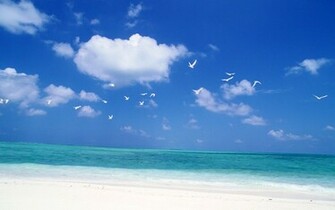 Beach Wallpaper 3d Nature