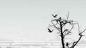 Birds On The Tree Widescreen Wallpaper