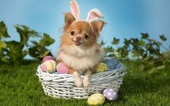 Easter Widescreen Wallpaper