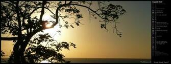 Mlewallpaper Sunset Through Trees Ii Calendar