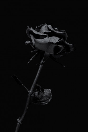 Dark Girly Wallpaper