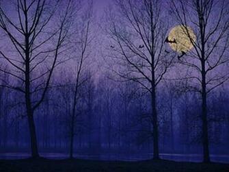 Related Pictures Image Haunted Forest Wallpaper And Stock Photos
