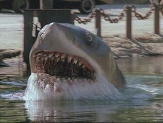 Jaws HD Wallpaper In Movies Imageci