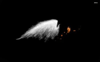 Angel Wings Wallpaper