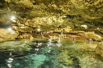 HD Wallpaper Group Of People Swimming In Body Water Inside