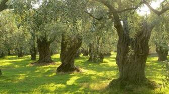 Eco What Paladone Do Take Care Of The World Around Us