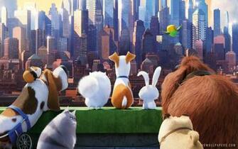 The Secret Life Of Pets HD Wallpaper IHD