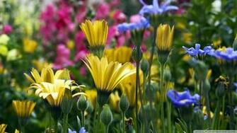 This New HD Spring Wallpaper Pack From Our Website