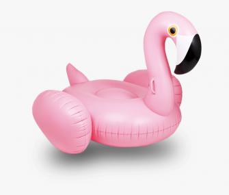 Transparent Floatie Png Flamingo Float Background