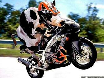 Funny Motorcycle BirtHDay