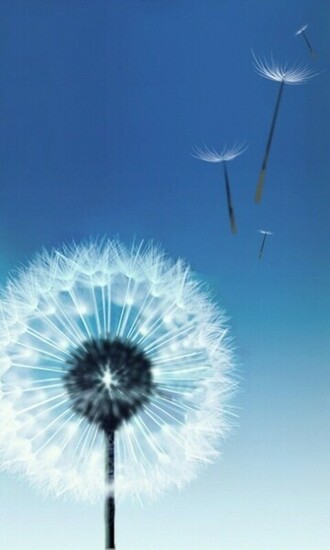 Galaxy S3 Wallpaper For S2 Jpg