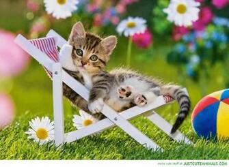 Cute Animals Wild Wildlife Species Planet Earth Nature Pics Pictures