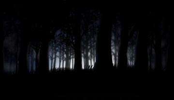 Forest Computer Wallpaper Desktop Background