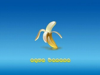 Pics Photos Wallpaper Banana Home Funny Zebra In A Tree Resolution