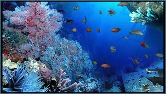 3d Aquarium Screensaver