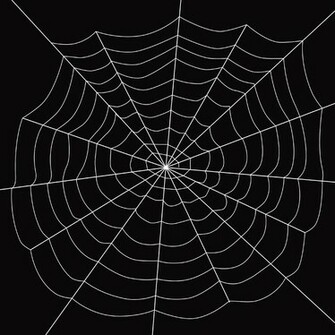 Spider Web White Over Black