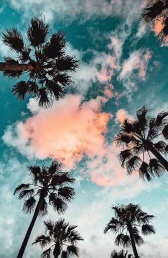 Image About Summer In Mi Estilo By Mabel Landia