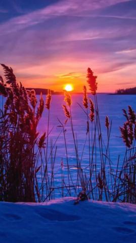 Charlie Hayes Affordable Cremation In Green Country Tulsa Ok
