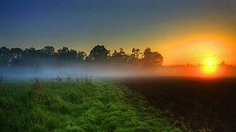 Green Mist Sunset Wallpaper