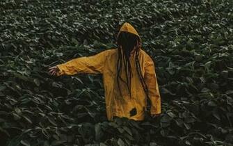 Hoodie Leaves Raincoat Green Wallpaper For
